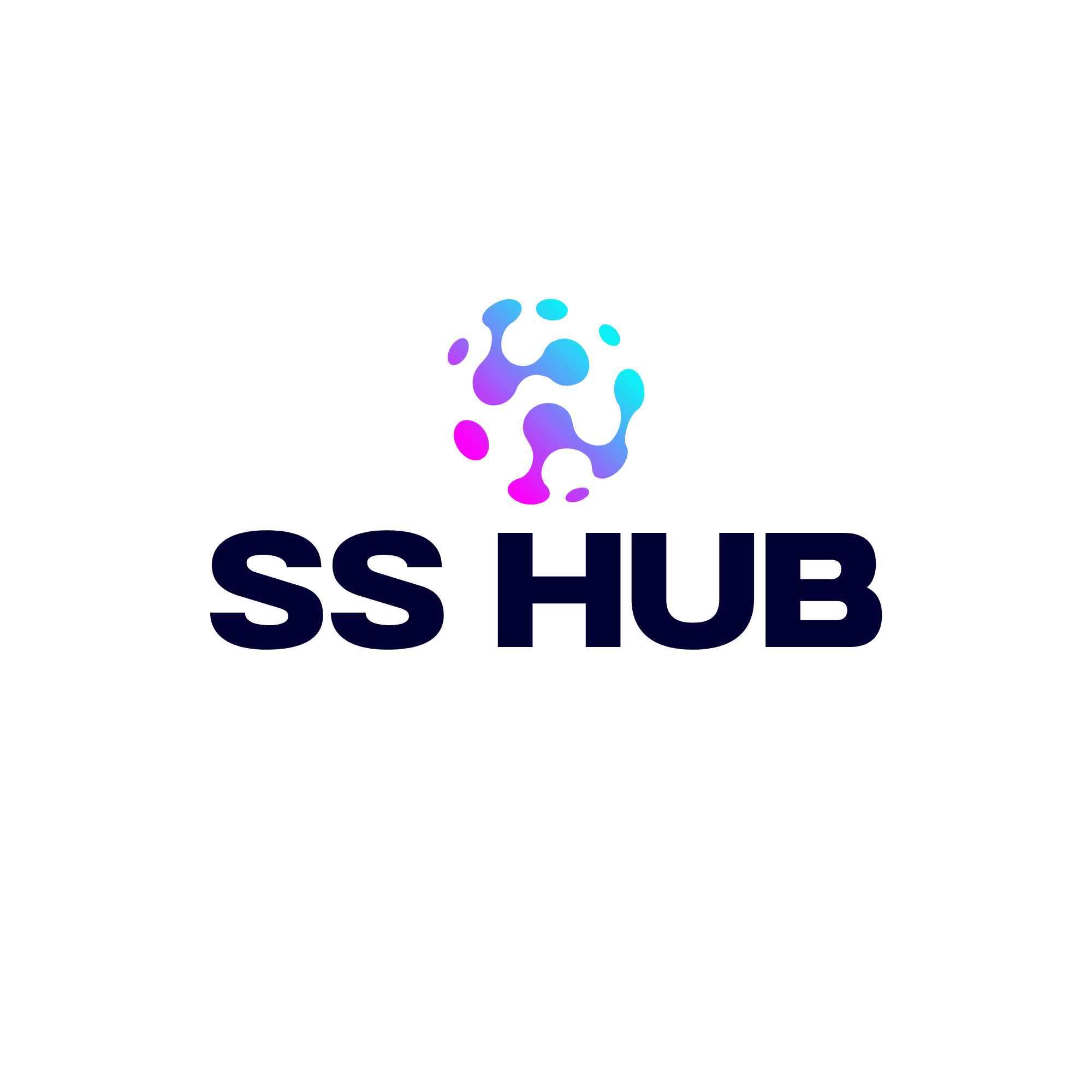 SS Hub