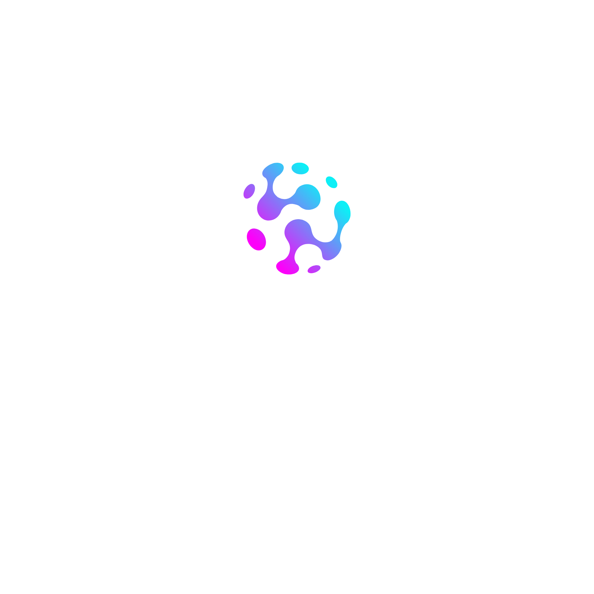 SS Hub